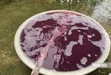 Vụ nước giếng khoan chuyển màu tím, hôi tanh: Kết quả xét nghiệm nhiều chỉ số vượt chuẩn hàng chục lần