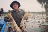 Con người thật của Khoai Lang Thang gây chú ý