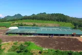 Thanh tra chỉ ra nhiều vi phạm tại 3 doanh nghiệp phân bón ở Thanh Hóa