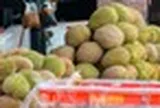 Buồn của đối thủ sầu riêng Việt Nam, Thái Lan: Nắm giữ loại sầu ngon nhất thế giới nhưng giá giảm 70%, nguyên nhân đến từ đâu?