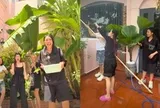 "Phương Thanh giàu lắm, nhà bự như vậy mà ở ngay trung tâm thành phố"
