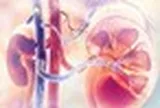 Thói quen của nhiều người Việt khiến thận ứ nước, mỏng như giấy: Bác sĩ cũng phải bất lực