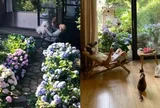 Chàng trai sống ở căn nhà "thay màu 4 mùa" với 10 con mèo, 2 con chó