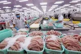 Doanh thu quý II giảm 74%, doanh nghiệp thủy sản vẫn báo lãi tăng hơn 200%, tiền chiếm 73% tài sản: Điều gì đã xảy ra?