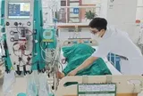 Ăn mật cá trắm, cụ ông suýt mất mạng phải lọc máu