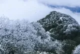 Việt Nam có ngọn núi cao gần 2.000 m nằm trong Công viên địa chất toàn cầu UNESCO: Mùa đông phủ băng giá, mùa hè nhiệt độ chỉ 10-20 độ C