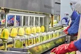 Nafoods Group lãi hơn 140 tỷ đồng sau 6 tháng, hàng tồn kho tăng hơn gấp đôi