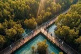 Ông Phạm Nhật Vượng xây công viên câu cá rừng ngập mặn 800 ha rộng gấp 4 lần ở Singapore