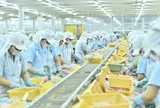 3 lần gom cổ phiếu ANV, lãnh đạo Nam Việt nâng sở hữu lên 1,18%