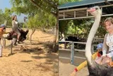 Hết cưỡi trâu, khách Tây lại phấn khích cưỡi đà điểu chạy 'xé gió' ở Việt Nam