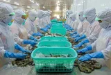 Sao Ta hoàn nhập hơn 27 tỷ đồng thuế chống bán phá giá