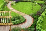 5 loại cây dễ chăm sóc, thích hợp trồng lối đi sân vườn