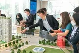 Môi giới bất động sản cung cấp thông tin sai có thể bị phạt tới 160 triệu đồng