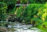 Mê mẩn sắc thu trên non thiêng Yên Tử