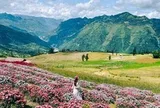 Phát hiện địa danh Việt Nam lọt Top 10 đẹp nhất thế giới, có thảo nguyên rộng 90 ha như "Thụy Sĩ thu nhỏ"