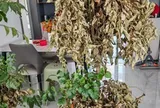 Nhà chật đừng vội trách thiếu mét vuông: VỨT 4 thứ vô dụng này đi, không gian rộng ra trông thấy