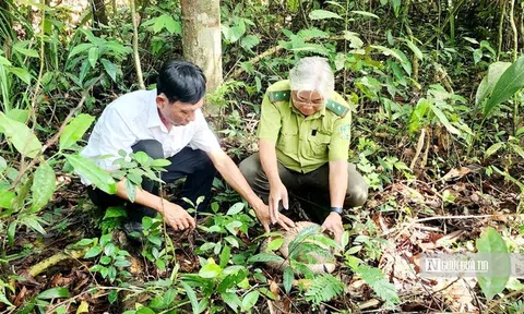 Bình Phước sẽ làm gì để nói không với sử dụng động vật hoang dã?