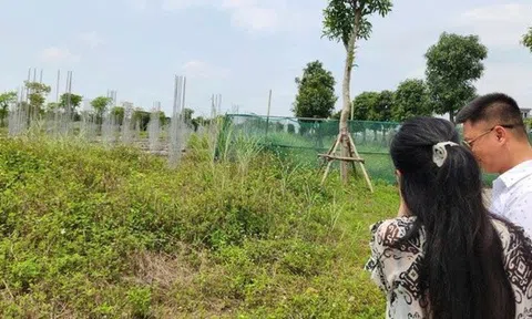 6 nguyên tắc “bỏ túi” trước khi ra quyết định mua hay bán một bất động sản