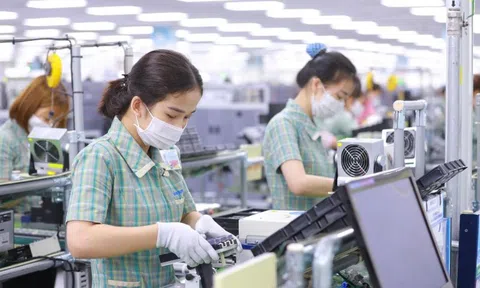 Dấu chấm cho chuỗi ngày ảm đạm: Lần đầu tiên trong năm, thị trường đón nhiều doanh nghiệp mới hơn số rời đi