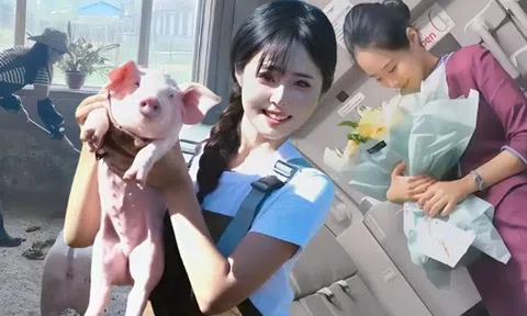 Tiếp viên hàng không nghỉ việc để làm một việc “nghe thôi đã thấy sợ”: Kiếm hơn 700 triệu trong 2 tháng