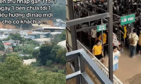 Nỗi niềm của chủ quán cafe thú cưng ở Đà Lạt: Làm mô hình giống hệt, "bên thu nhập gần 1 tỷ/ngày, mình chưa đến 1 triệu"?