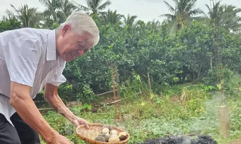 Tận thấy món đặc sản 'ngọc ẩn mình' rất lạ ở bên cồn