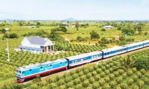 Cứ thuê bên ngoài sản xuất, rồi nhập về lắp ráp sẽ triệt tiêu ngành đường sắt