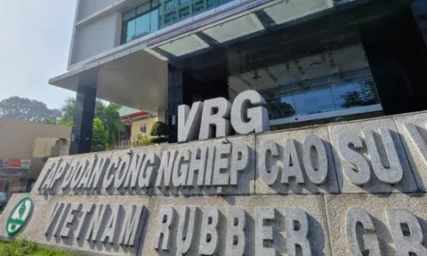 VRG miễn nhiệm một nhân sự cấp cao
