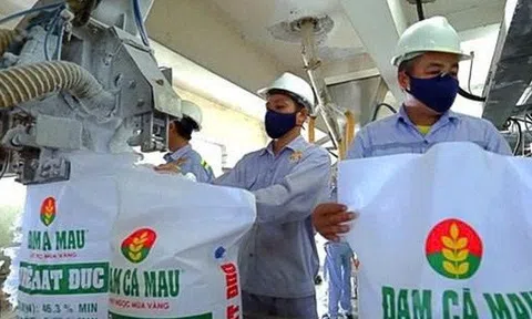 Đạm Cà Mau chốt ngày chi trả hơn 1.058 tỷ đồng cổ tức năm 2024