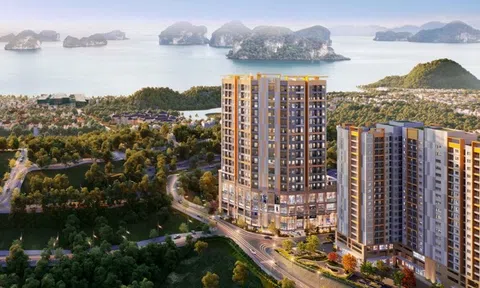 Sở hữu căn hộ giữa trung tâm Hạ Long chỉ từ 750 triệu