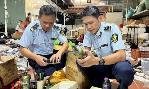 Tháng cao điểm chống buôn lậu, hàng giả: Xử lý hơn 3.100 vụ vi phạm