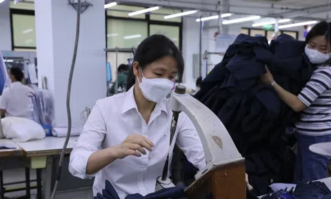 Dệt may khởi sắc rõ nét