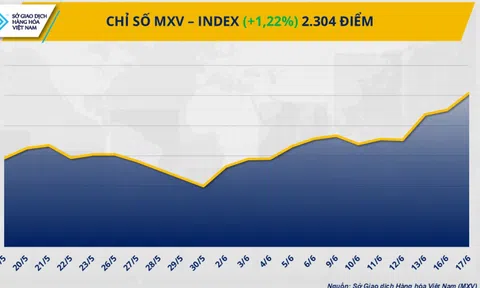 Chỉ số MXV-Index bật lên vùng 2.300 điểm