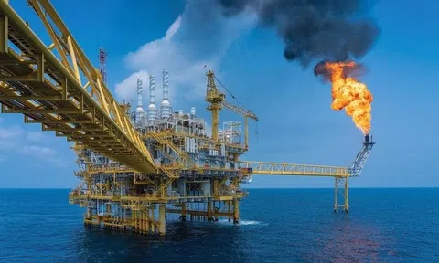 Dự báo ngành dầu khí Q2/2025: Cả ngành báo lãi lớn, vì sao hai "ông lớn" Petrolimex và BSR lại sụt giảm tới 35% và 91%?