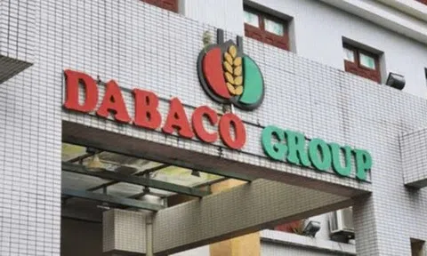 Dabaco ‘rót’ 190 tỷ đồng thành lập công ty chăn nuôi tại Quảng Trị