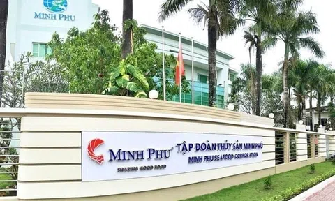 Vua tôm Minh Phú "hì hục" bán lỗ để giải quyết 20.000 tấn hàng tồn kho từ Covid