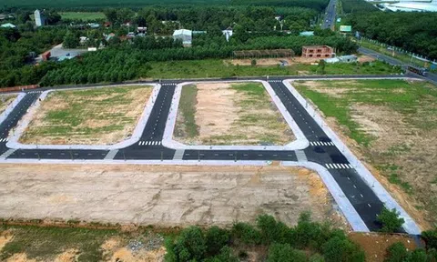 Lô đất gần 900m2 tại Thủ Đức được bán giá hơn 26 tỷ đồng để siết nợ