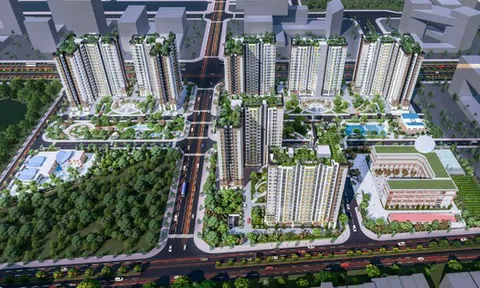 Năm Bảy Bảy được chấp thuận chủ trương đầu tư dự án Khu dân cư cao tầng NBB III