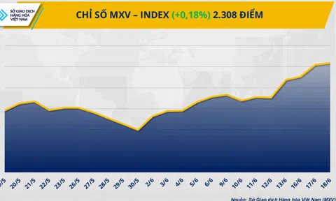 Giá dầu thô cao nhất kể từ đầu năm, giá cà phê Robusta lao dốc 6%