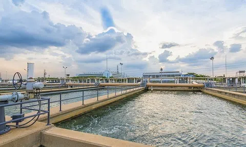 Biwase mở rộng hệ sinh thái, TDM Water hái "trái ngọt" từ đầu tư dài hạn