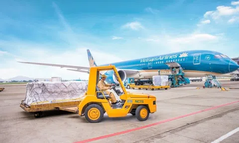Lãi kỷ lục 7 năm, một "đại gia" sân bay sắp chia cổ tức bằng tiền với tỷ lệ 80%