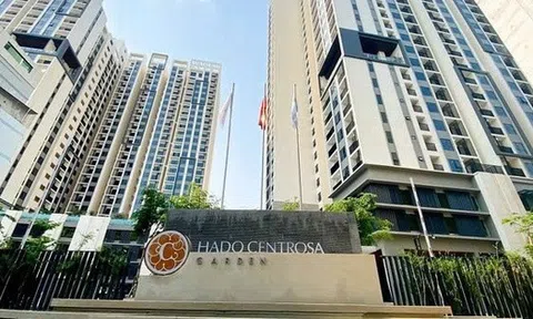 Chủ tịch sáng lập Tập đoàn Hà Đô không mua cổ phiếu HDG như đăng ký