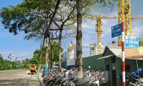 Quy Nhơn sắp có dự án chung cư 45 tầng nghìn tỷ