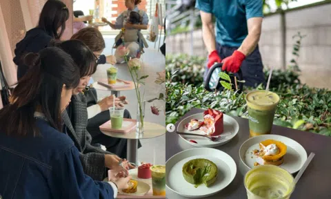 Nông dân trồng trà ở Nhật Bản kiệt sức trước xu hướng "sơ hở là matcha" của giới trẻ