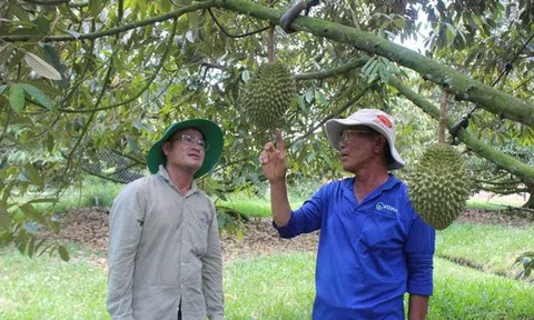 Loạt dự án chiến lược ở Tây Ninh được chấp thuận chủ trương đầu tư