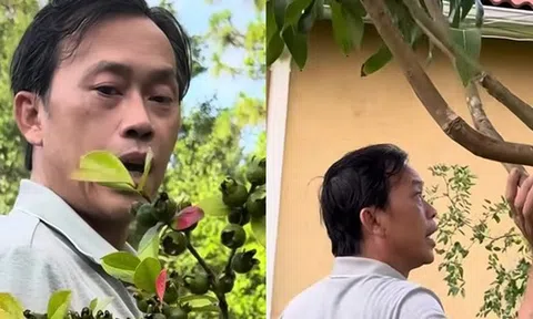 Hoài Linh thăm vườn biệt thự vài trăm m2 tại Mỹ, em trai nói: "Khác gì ở Việt Nam đâu"