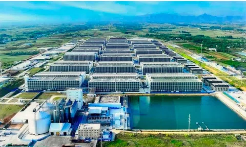 Tỉnh Tây Ninh “gật đầu” cho BAF triển khai “chung cư nuôi heo” đầu tiên Việt Nam: Tạo 100.000 heo/năm chỉ cần 95 nhân công, diện tích đất 6,7ha - tiết kiệm được 10 lần