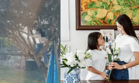 Tăng Thanh Hà dạy con kiểu “hào môn”: Cho con gái trèo cây, đi xe địa hình giữa trời Tây mà không ngại nguy hiểm