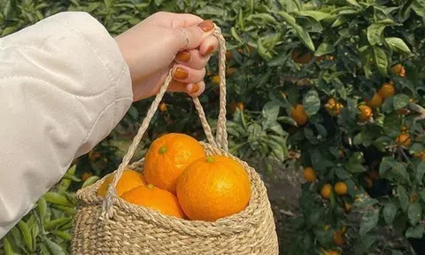 5 cách tiết kiệm tiền của mẹ, con cái cho là lỗi thời nhưng cả đời không khá lên nổi vì "cãi lời"
