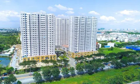 "Ông trùm" nhà ở xã hội đóng cửa 5 chi nhánh tại TP.HCM